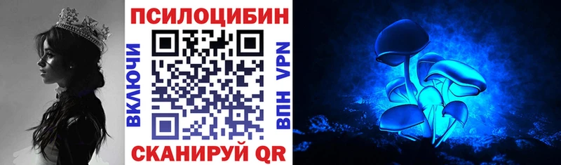blacksprut как зайти  Болотное  Псилоцибиновые грибы мицелий  что такое  