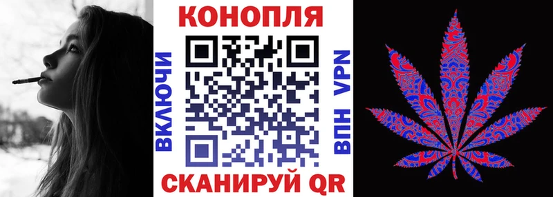 Бошки Шишки ГИДРОПОН  где найти наркотики  Болотное 